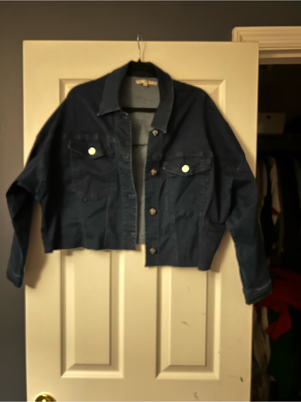 Standards & Practices Women's Dark Blue Denim Jacket - Casual Crop Trucker